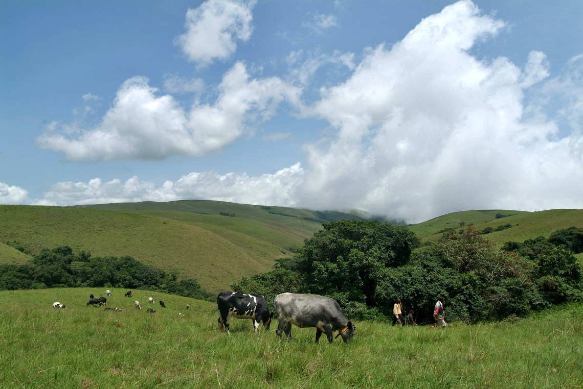 photos_for_newgong_mag_003